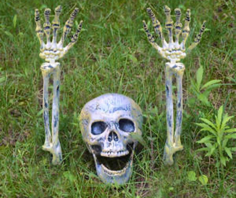 Halloween Dekoration Skelett Set - Sparimperium