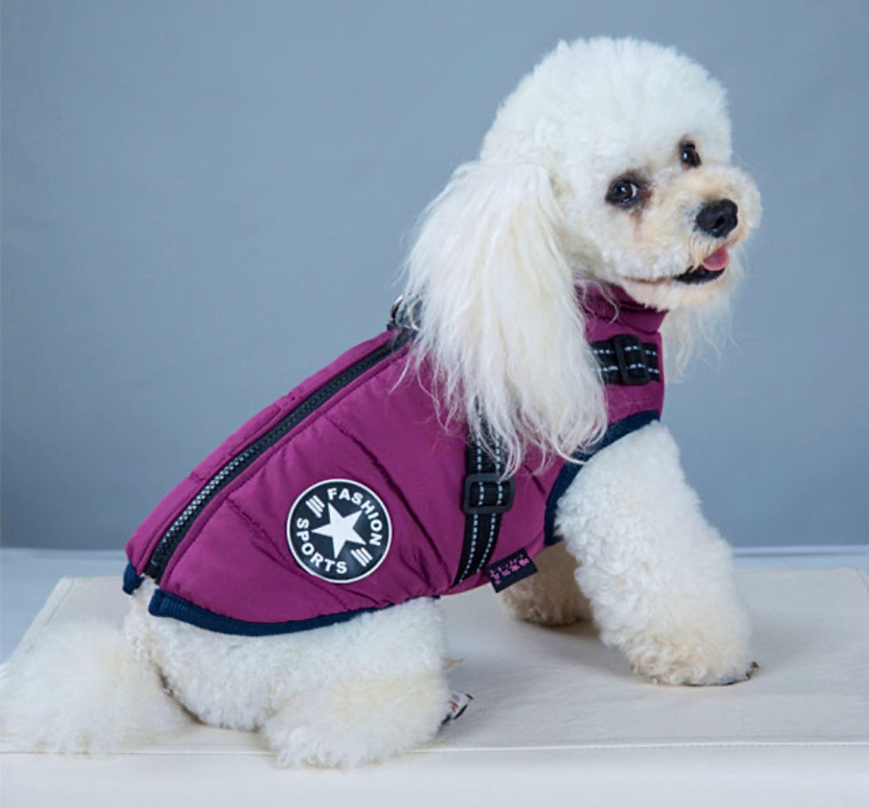 Hundemantel Wintermantel mit Reflektoren Wasserdicht S-4XL