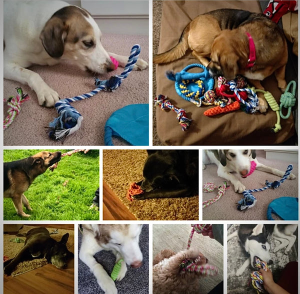 Hundespielzeug 15 Teile Welpen Spielzeug - Sparimperium